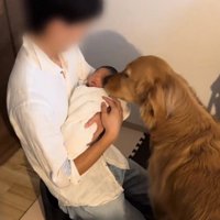 赤ちゃんを愛でるチョコビくん