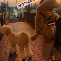 降ろそうとすると抵抗！