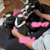 仲良しで可愛い♡