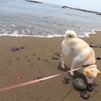 背後から波が押し寄せたら…