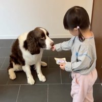 オヤツ、どうぞ