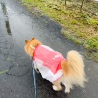 ビニール袋でできたカッパ！！