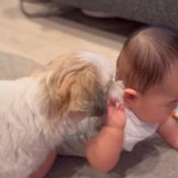 赤ちゃんが大好きなピコちゃん4