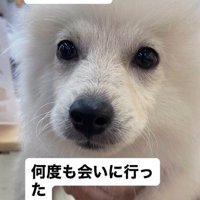 忘れられなくなってしまった…