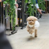 キューピッドたちが大活躍
