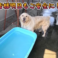 涼しくなって大満足♪