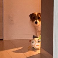 静かに