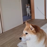 どこにもいない…