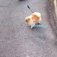 転んじゃっても大丈夫！