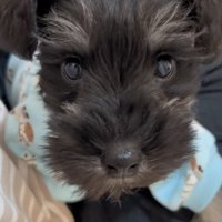 ドアップのゆずくん