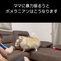 「なんてことをっ」