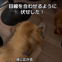 優しい姿にほっこり