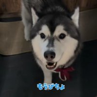 「なかなか楽しかったよ」
