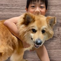 男の子と犬