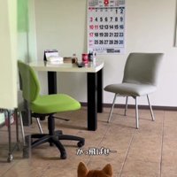すっかり猫化したぺこリンボちゃん