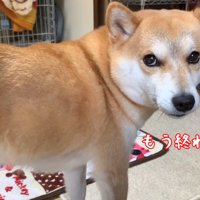 一瞬でご不満顔に！
