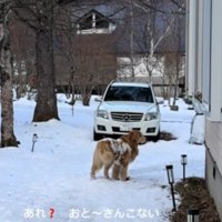 パパがいない…