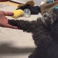 床と並行なお手