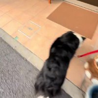 ウキウキとした足取りで…