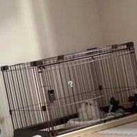 知らない音が響いてる…