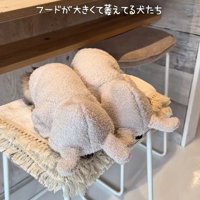 まるでうさぎさんみたい