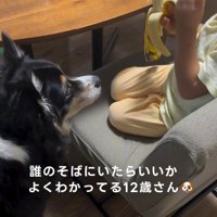 バナナをちぎる息子さん
