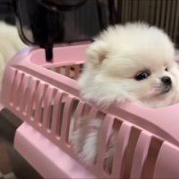 「みんな優しそう…」