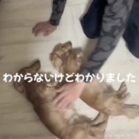 やり過ごしたい…