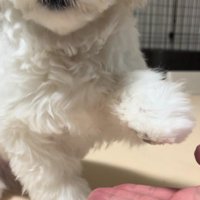 「これで充分でしょ？」