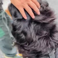 微笑ましい光景にホッコリ♡