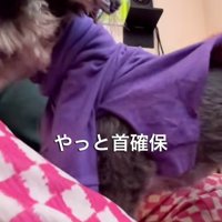 首が通ったジジくん