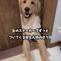 家族のことも大好き