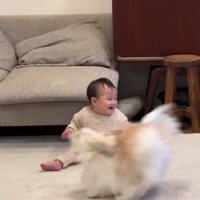 追いつかない赤ちゃん