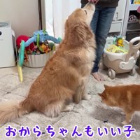 みんなとっても賢いね♪