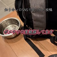 SNSの投稿を見た投稿主さん