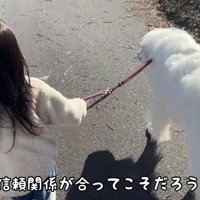 2人の信頼関係にホッコリ♡