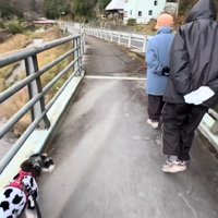 おじいちゃんとおばあちゃんと散歩