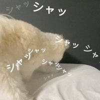 ホリホリするぽぽちゃん