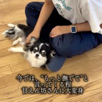 幸せになろうね