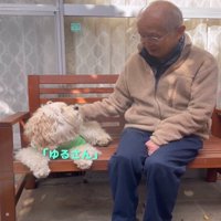 怒る犬2