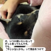 犬との暮らしが憧れだった