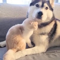 スリスリ甘えるじゅんちゃん