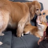 教育的指導をすることに