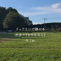 ドッグランでひとり遊びをするノアくん