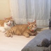 じっと