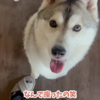 「赤ちゃんを連れていかないで…」