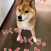 「行くぅ～っ」と鳴いてアピール