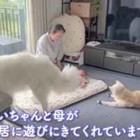 母と愛犬が遊びに来た
