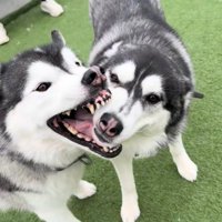 いつまでも仲良しでいてね♪