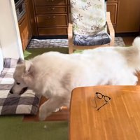ドレミちゃんが部屋の外へ